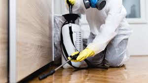 Best Emergency Pest Control  in Black Creek, WI